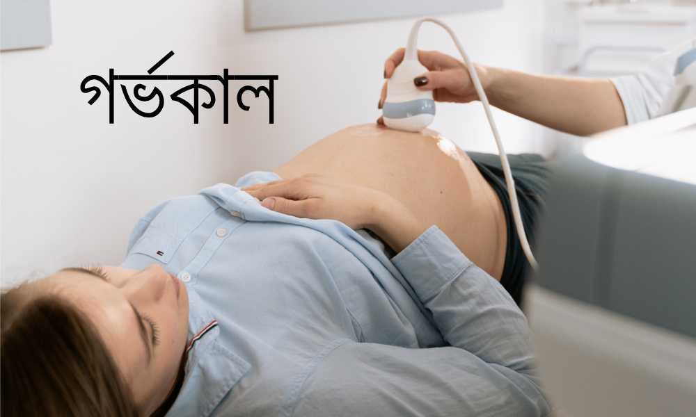 pregnancy